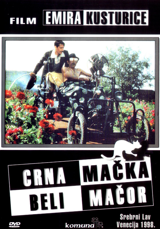 Crna mačka ,beli mačor